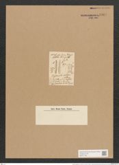 Nitzschia angustata var. acuta Grun. (de-Toni-Nr.: Genus 47, Species 2009) Zeichnungen Sammlung Grunow Nr. 3969 (NHMW-BOT-W0371739)